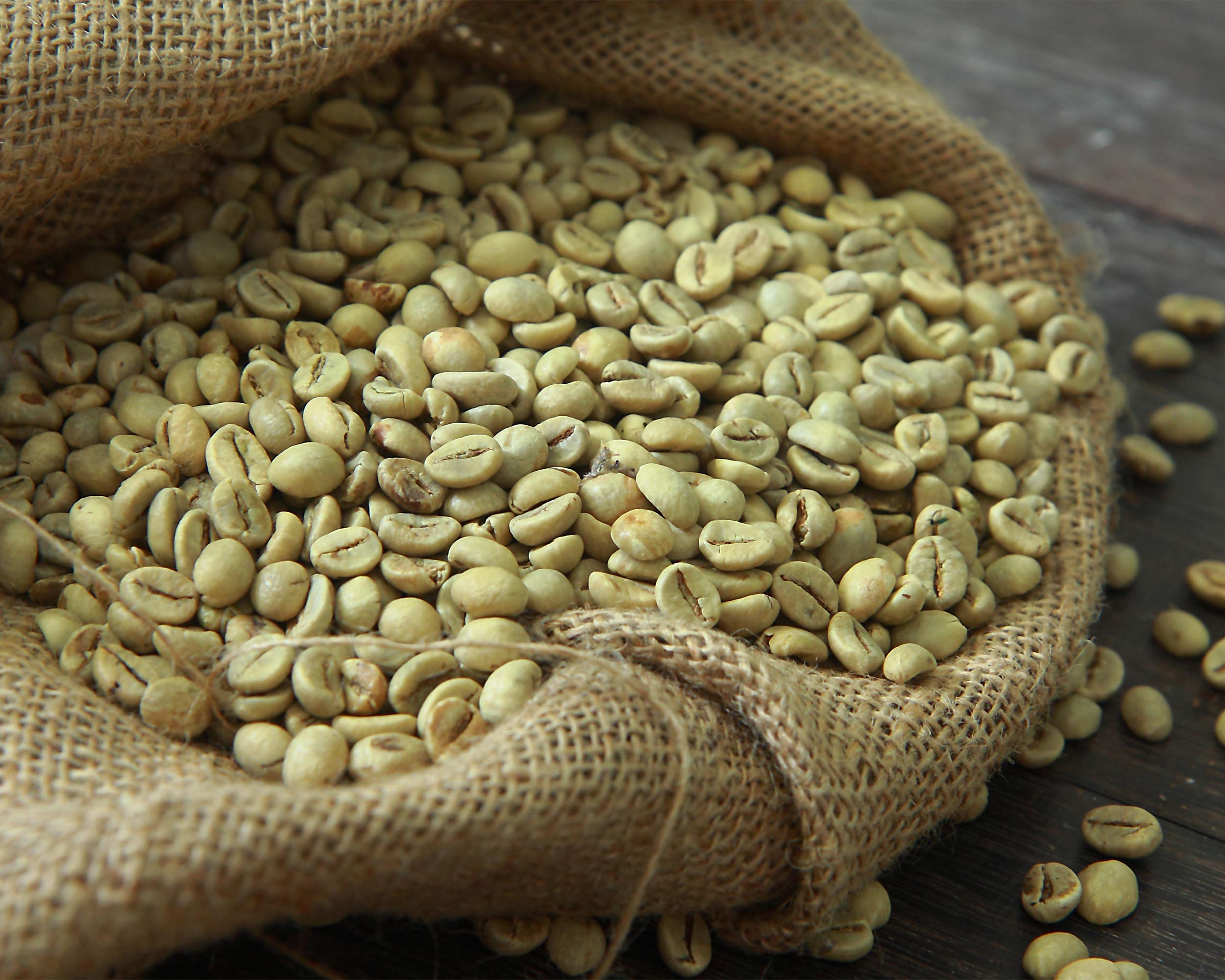 Premium roasted coffee beans starts with finding the best green coffee beans in the world.
